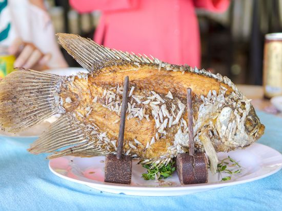 Vietnam_Mekong Delta_Elephant Ear Fish_shutterstock_632138759