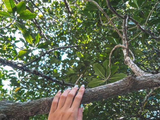 宮良川マングローブSUP or カヤック体験 天然記念物のマングローブ林が生い茂る宮良川をクルージング！ツアー中の写真プレゼント付き＜1時間半／石垣島＞