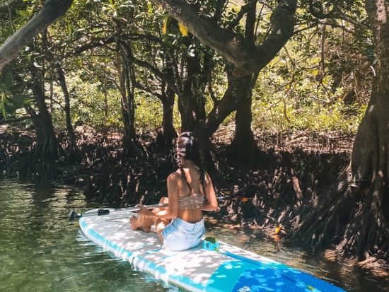 宮良川マングローブSUP or カヤック体験 天然記念物のマングローブ林が生い茂る宮良川をクルージング！ツアー中の写真プレゼント付き＜1時間半／石垣島＞