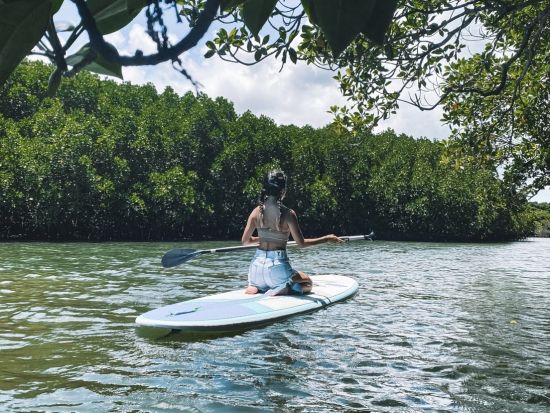 宮良川マングローブSUP or カヤック体験 天然記念物のマングローブ林が生い茂る宮良川をクルージング！ツアー中の写真プレゼント付き＜1時間半／石垣島＞