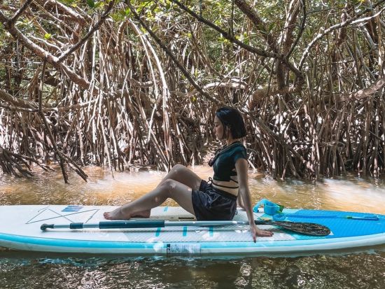 宮良川マングローブSUP or カヤック体験 天然記念物のマングローブ林が生い茂る宮良川をクルージング！ツアー中の写真プレゼント付き＜1時間半／石垣島＞