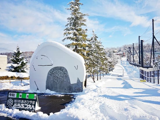 日帰りバスツアー かわいい動物たちを間近で観察できる旭山動物園＆白い雪のコントラストが美しい美瑛の青い池を巡るコース＜12月・1月出発／札幌市内発着＞