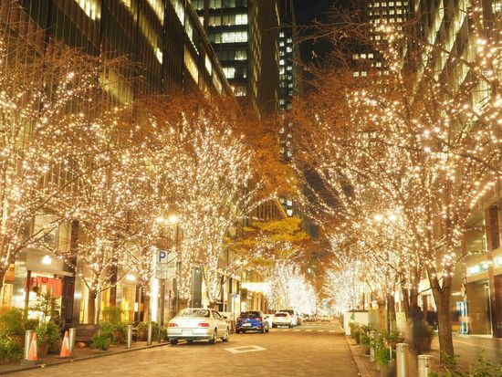 丸の内イルミ(AC写真より）