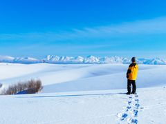 _DSC4935横
