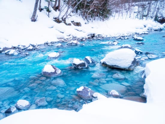 美瑛スノーシューツアー ～白樺の森と青い川～雪に覆われた森の中を歩き、美しいブルーリバーを目指す！＜12月下旬～3月／美瑛町＞by 丘のまちびえいDMO