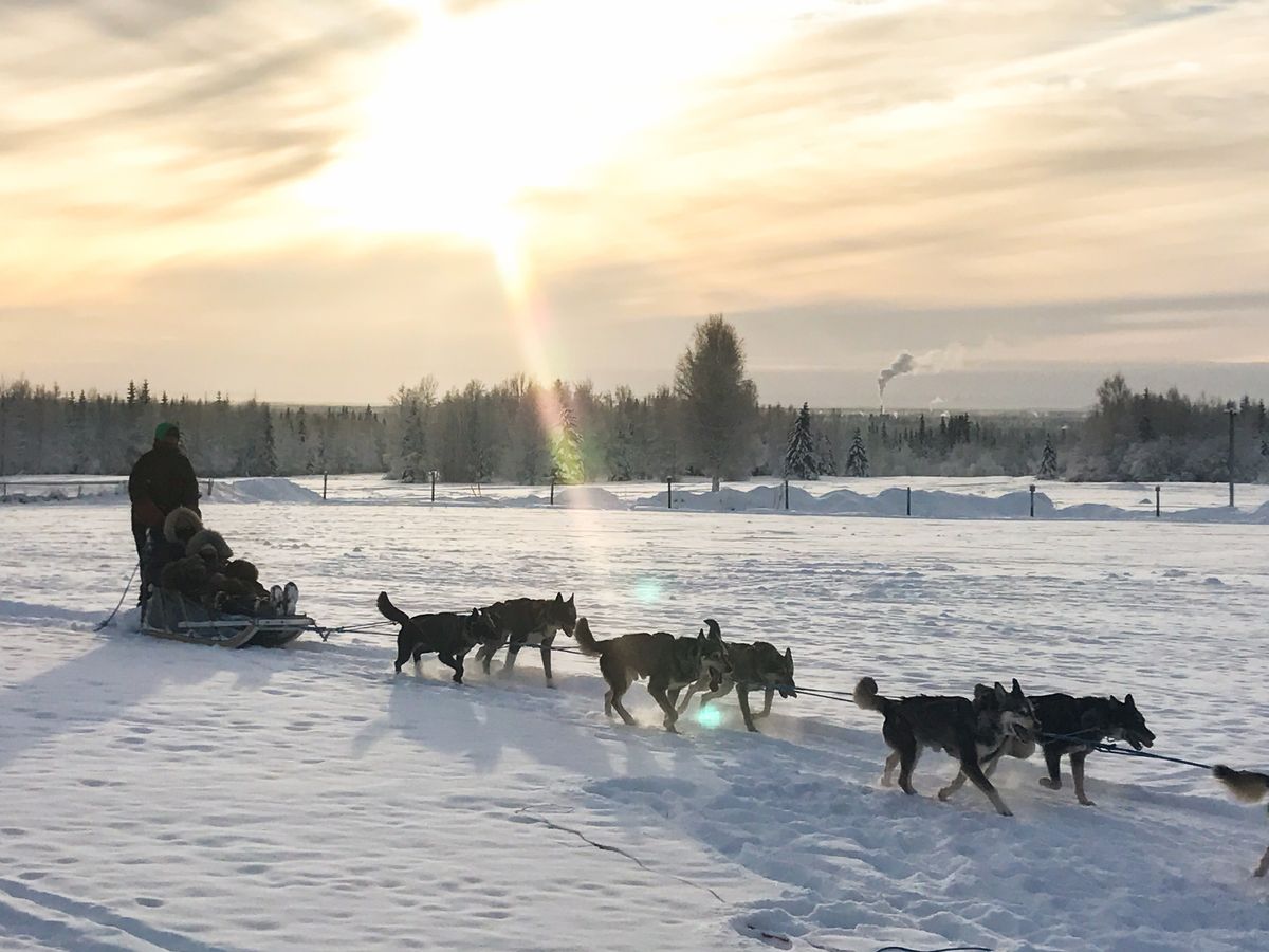 犬ぞり | アラスカ 旅行の観光・オプショナルツアー予約 VELTRA