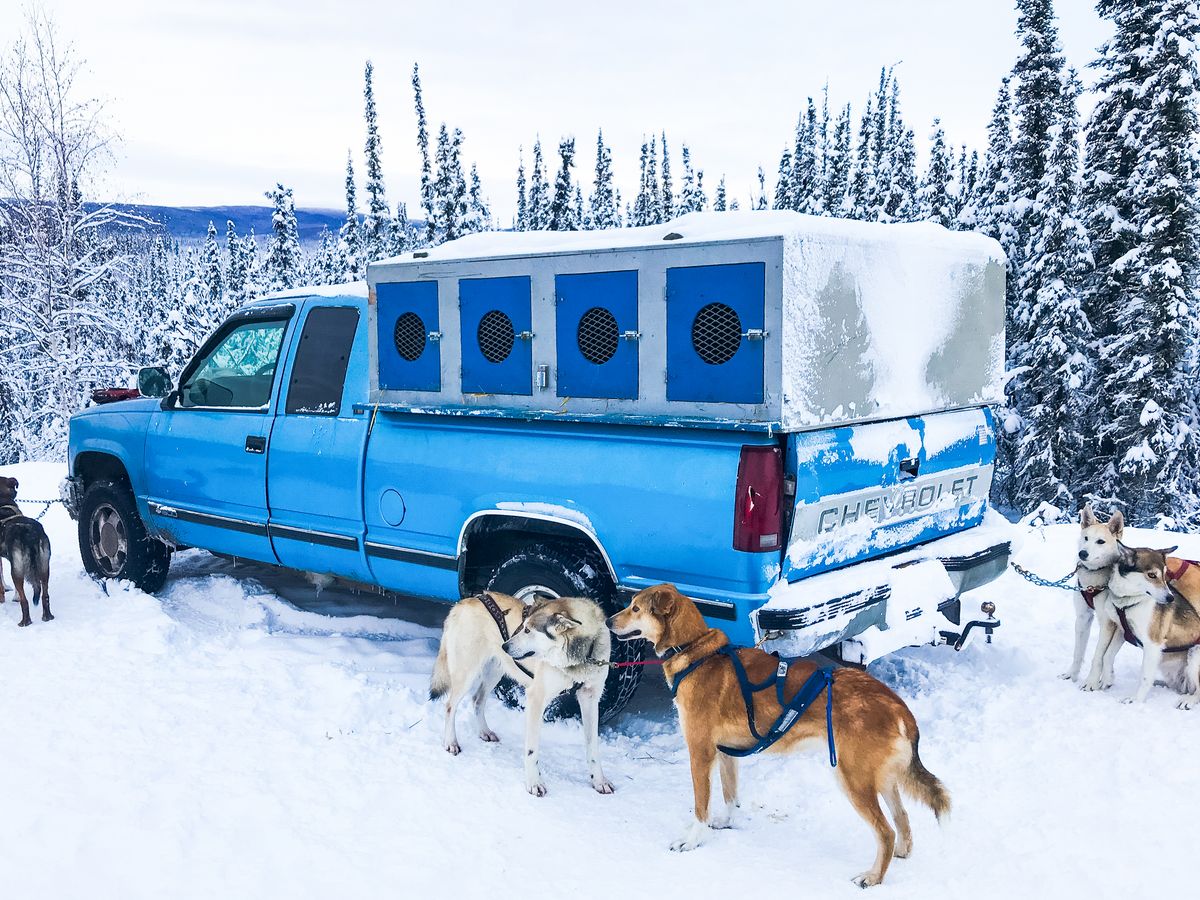 detteです レトロそり、運搬そり、犬ぞり、犬そり、雪そり、木製そり detteです レトロそり、運搬そり、犬ぞり、犬そり、雪そり、木製そり