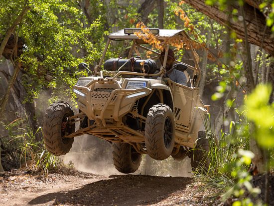 コーラルクレーター・アドベンチャーパーク　ジップライン体験　3本（1時間）または6本（2時間）　四輪バギー体験（45分）付きプランもご用意＜送迎付きプランあり＞