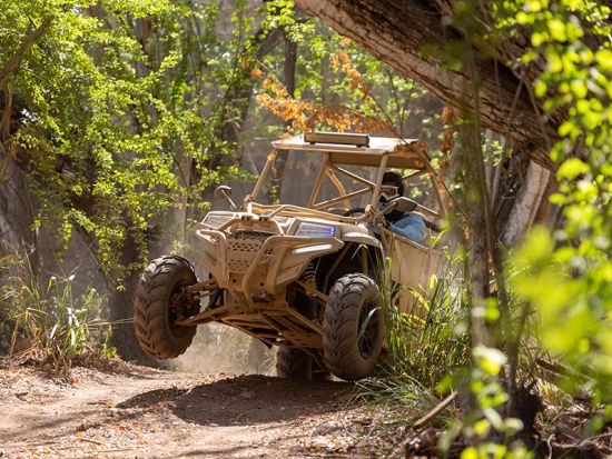 コーラルクレーター・アドベンチャーパーク　四輪バギー&ジップライン体験！全アトラクションを楽しめる遊び放題プラン