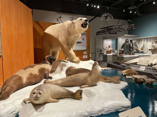 フェアバンクス市内　ハイライト観光ツアー ＜日本語ガイド／フェアバンクス発＞