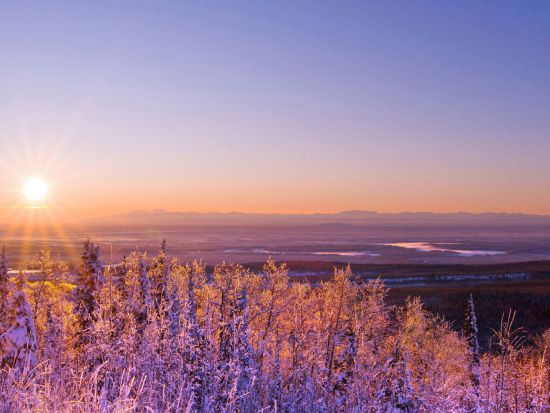 プロカメラマンとめぐる　アラスカの絶景ビューポイント撮影ツアー ＜日本語ガイド／フェアバンクス発＞