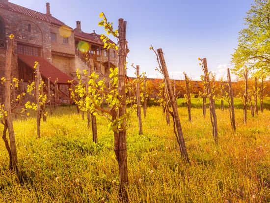Alaverdi Monastery_pixta_81492618_XL