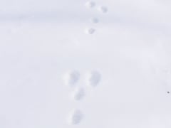 20220317090235_931719908_15818_0