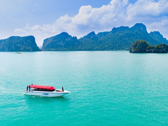 【サムイ発】ピンクのイルカウォッチングとタン島＆マッドサム島スピードボートツアー　＜終日／ホテル送迎付／日本語ガイド選択可／昼食付＞