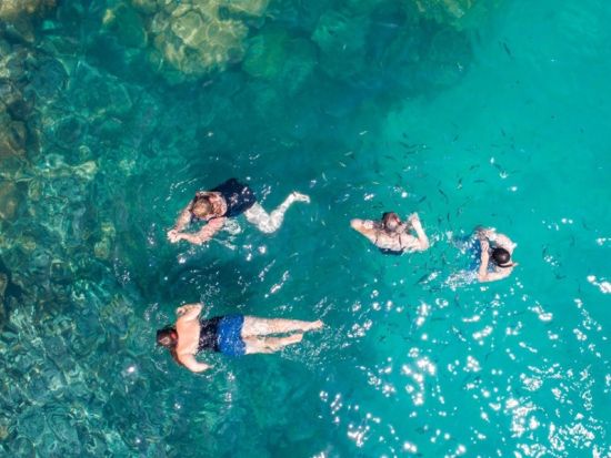 【サムイ発】ピンクのイルカウォッチングとタン島＆マッドサム島スピードボートツアー　＜終日／ホテル送迎付／日本語ガイド選択可／昼食付＞