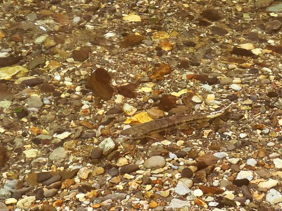 6F758910-4F88-4A3D-9CC2-20C2D363BADA