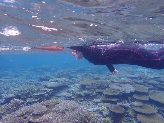 image_6483441 (12)