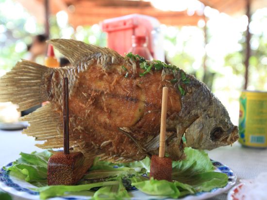 ホーチミン観光の決定版！メコン川クルーズ＋水上人形劇＋サイゴン川クルーズ　船内または人気店のディナー＜送迎／現地ガイド(日本語可)／象耳魚の昼食＋夕食＞