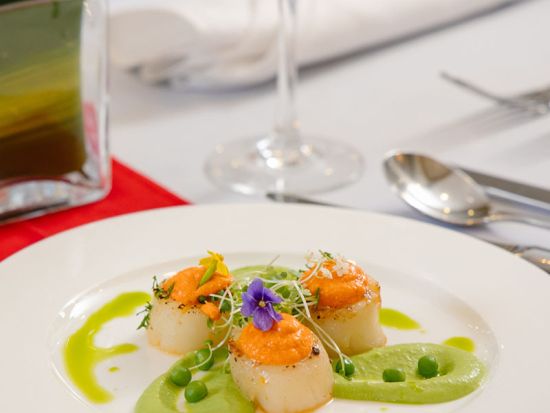 ホーチミン観光の決定版！メコン川クルーズ＋水上人形劇＋サイゴン川クルーズ　船内または人気店のディナー＜送迎／現地ガイド(日本語可)／象耳魚の昼食＋夕食＞