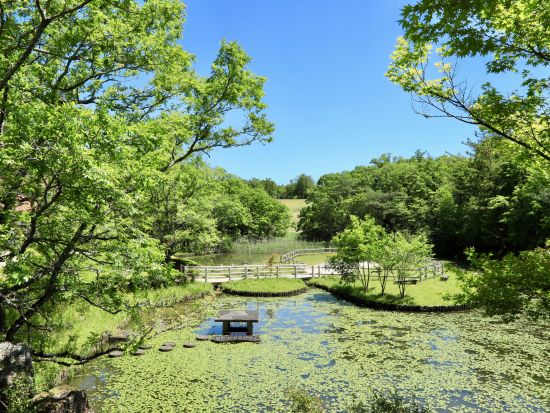 貸切観光タクシー　ジブリパークお送りコース＜1～9名／名古屋市内・セントレア空港発＞