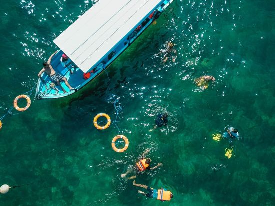 バリ島 マングローブの森クルーズ＆シュノーケリング体験　グラスボトムボート利用＆ウミガメ保護センター入場付き ＜日本語ガイド＞by JTB