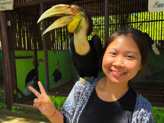 バリ島 マングローブの森クルーズ＆シュノーケリング体験　グラスボトムボート利用＆ウミガメ保護センター入場付き ＜日本語ガイド＞by JTB