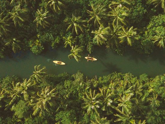 リバーカヤック タロフォフォ川のジャングルを探検！古代遺跡の見学付き＜英語ガイド／チャモロ料理の昼食付き／送迎付きプランあり＞