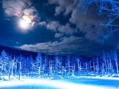 pixta_49136582_M