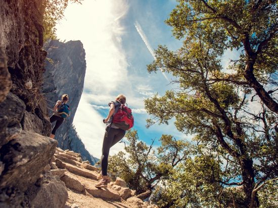 世界遺産ヨセミテ国立公園 2日間ツアー　1日目の観光案内付き ＜貸切／定員4名／日本語ドライバーガイド＞