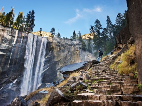 世界遺産ヨセミテ国立公園 日帰りツアー　定番スポットめぐり＆たっぷりの自由散策時間 ＜貸切／定員4名／日本語ドライバーガイド＞