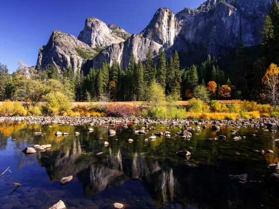 世界遺産ヨセミテ国立公園 日帰りツアー　定番スポットめぐり＆たっぷりの自由散策時間 ＜貸切／定員4名／日本語ドライバーガイド＞
