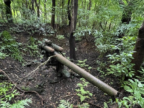 母島満喫3日間パックプラン！島内観光・トレッキング・ガイドおまかせ体験を贅沢に全て堪能しよう＜小笠原諸島・母島発＞