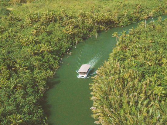 ジャングルリバークルーズ タロフォフォ川の大自然を探検！古代遺跡を見学＆伝統文化に触れる旅＜英語ガイド／チャモロ料理の昼食付き／送迎付きプランあり＞