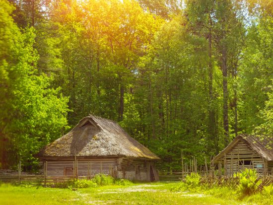 エストニア野外博物館　半日観光ツアー ＜車＋ガイド貸切／タリン発＞
