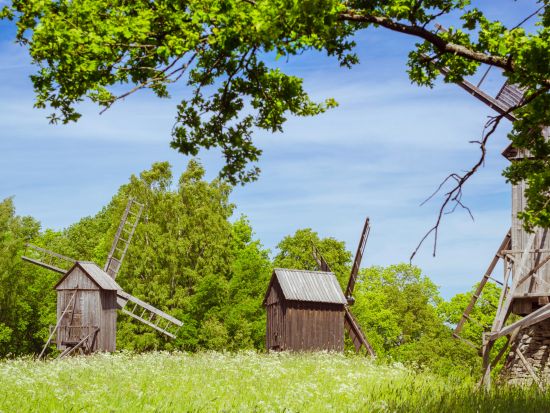 エストニア野外博物館　半日観光ツアー ＜車＋ガイド貸切／タリン発＞