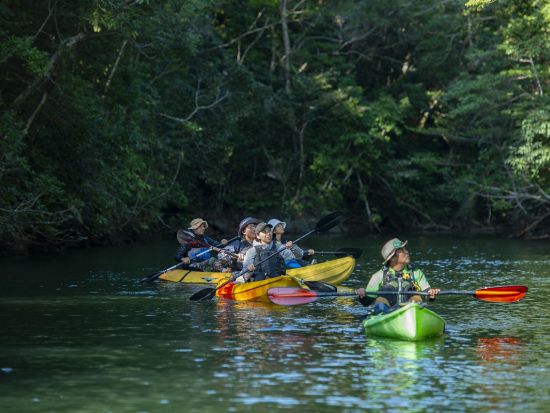 やんばるブッシュクラフト1泊2日　やんばる国立公園秘境の森トレッキングと大自然の中でサバイバルキャンプを楽しもう！＜貸切／2～6名／やんばる（東村）＞