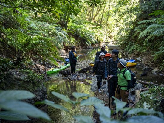 やんばるブッシュクラフト1泊2日　やんばる国立公園秘境の森トレッキングと大自然の中でサバイバルキャンプを楽しもう！＜貸切／2～6名／やんばる（東村）＞