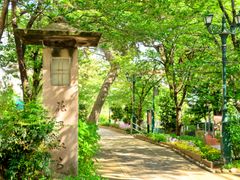 pixta_23734688_M