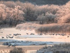 pixta_77471172_M
