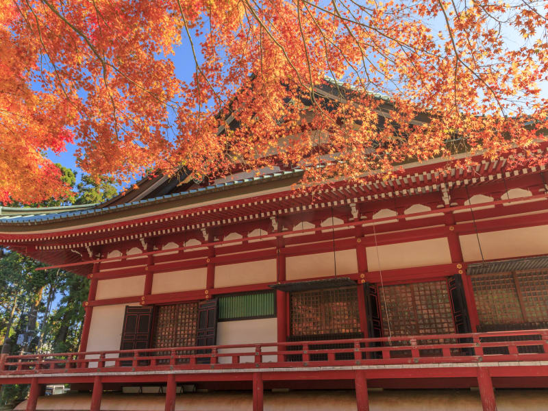 Japan_Kyoto_Enryakujipixta_45381110