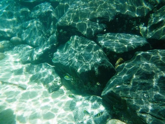 【7月中旬～9月下旬限定】無人島シュノーケリング 福江港からショートクルージングを楽しみながら屋根尾島へ！＜福江島・五島市＞ by 五島ダイビングラグーン