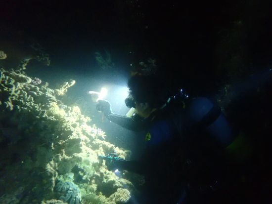 2022-08-26_20-09-39_000