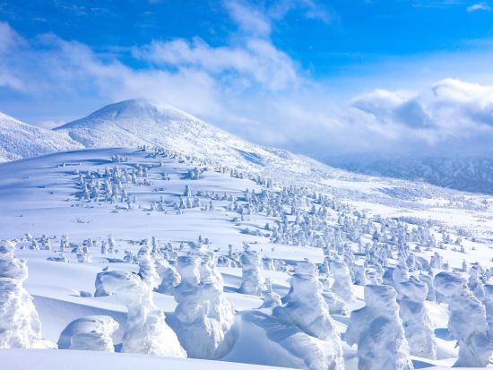 八甲田 樹氷スノーシューツアー 八甲田ロープウェーからの絶景＆白銀の世界をスノーシューで散策！手ぶら参加OK＜12月11日～3月31日／ロープウェー山麓駅集合＞