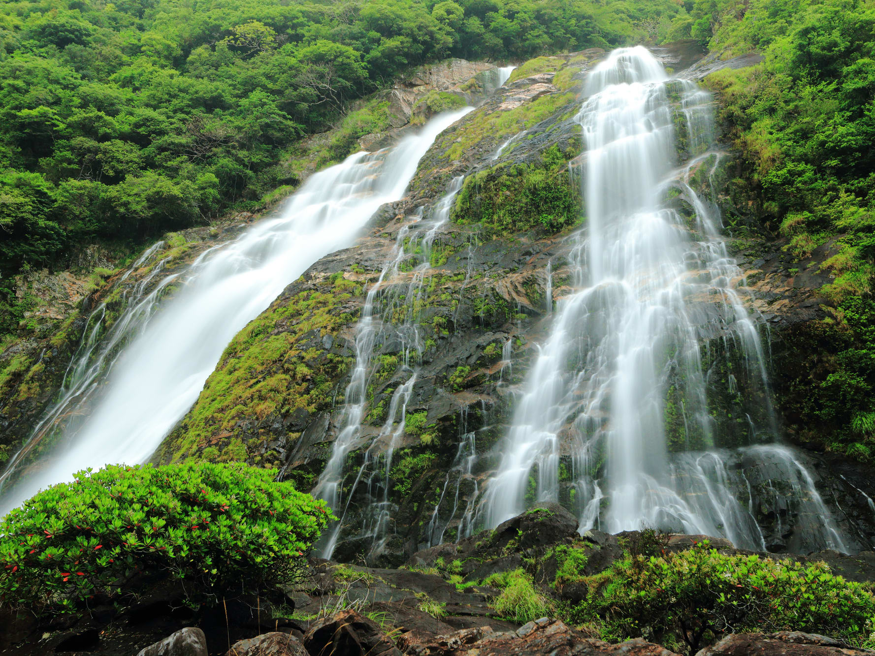 千尋の滝 (観光情報) | 屋久島の観光・オプショナルツアー専門 VELTRA