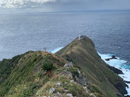 【7～11月限定】SUPツーリングと青の洞窟ツアー　未公開ポイントへ特別にご案内！＜午前・午後／大和村発着＞ by Cross Island