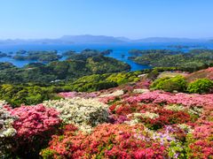 pixta_41065244_M