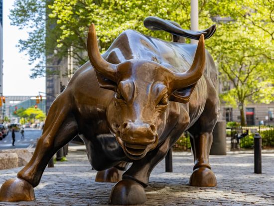 ウォール街ウォーキングツアー　アメリカの金融や知られざる立役者の存在などウォール街の歴史を学ぶ ＜2時間／英語ガイド＞