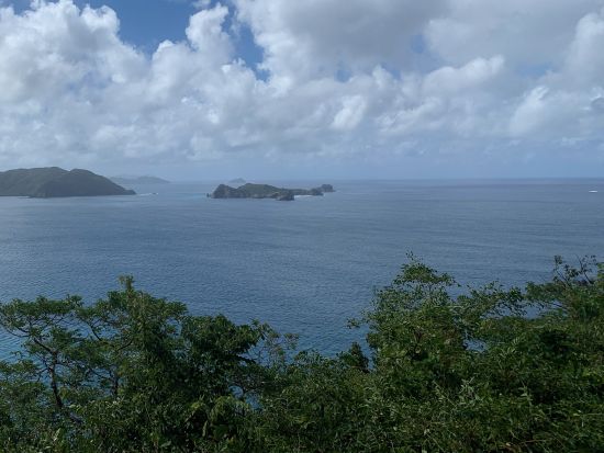 奄美大島要塞戦跡ツアー　奄美群島認定ガイドがご案内！奄美大島南部に眠る戦跡をめぐる ＜6時間／瀬戸内町発着＞by Cross Island