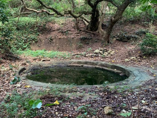 奄美大島要塞戦跡ツアー　奄美群島認定ガイドがご案内！奄美大島南部に眠る戦跡をめぐる ＜6時間／瀬戸内町発着＞by Cross Island