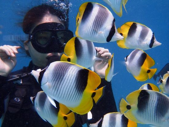 たくさんのお魚がウエルカム